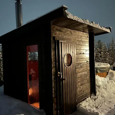 Holiday home With Sauna In
