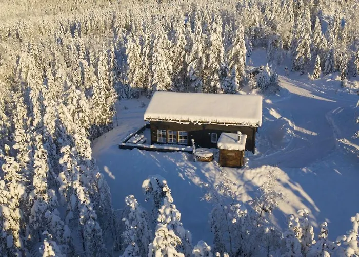 With Sauna In * Trysil