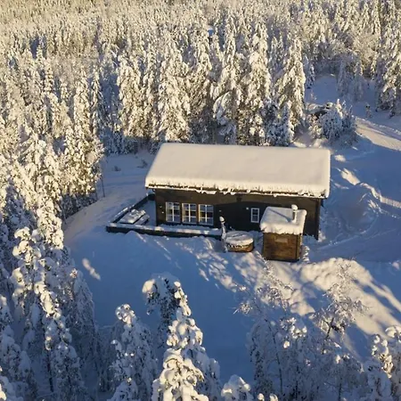 With Sauna In * Trysil